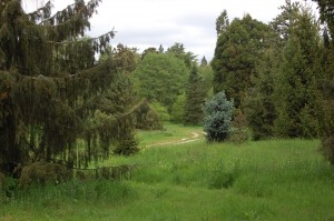 Arboretum de Chèvreloup - photo Marc Giraud