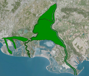 Vue du delta de Camargue, avec en vert la couverture forestière potentielle