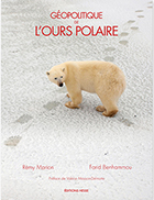 Ours-polaire
