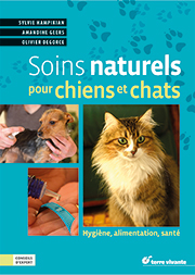 Chiens-chats