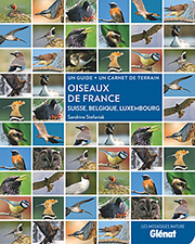 Oiseaux-France