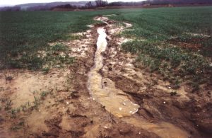 Ravine dans les champs suite aux ruissellements pluviaux Courcelles 95 C.WEISS