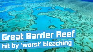 great-barrier-reef1