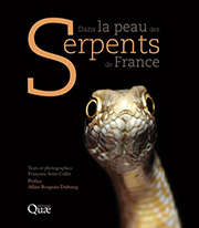 serpents