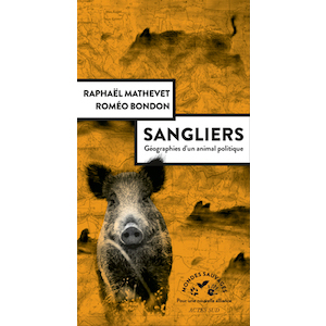 sangliers